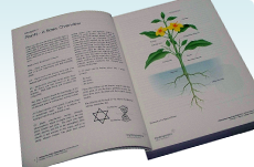 Hydroponics Books