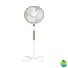 Oscillating Pedestal Fan