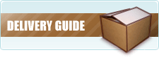 Delivery Guide