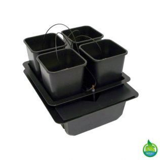 Wilma 4 Pot Drip System