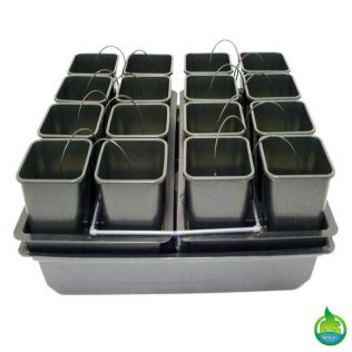 Wilma 16 Pot System