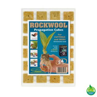 Rockwool Propagation Cubes