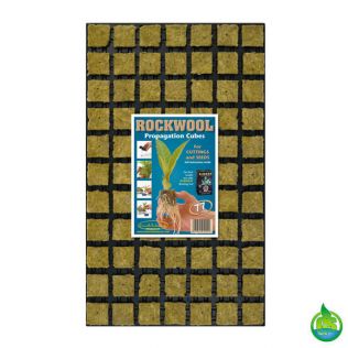 Grodan Rockwool SBS Cubes