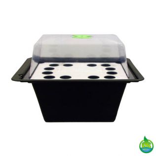 Aeroponics 12 Site Propagator