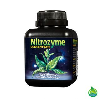 Nitrozyme 