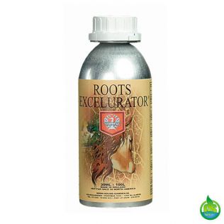 House &#38; Garden Roots Excelurator