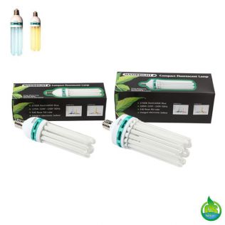 Compact Fluorescent Lamps 