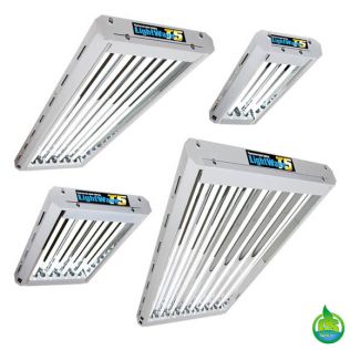 Lightwave T5 Fluorescent Lights