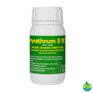 Pyrethrum 5EC Organic Insecticide