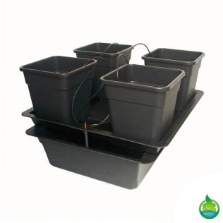 Wilma Big 4 Pot System